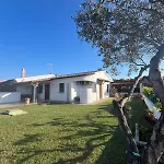 Bed and breakfast B&bcoccole