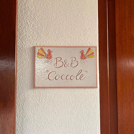 B&bcoccole Bed & Breakfast *