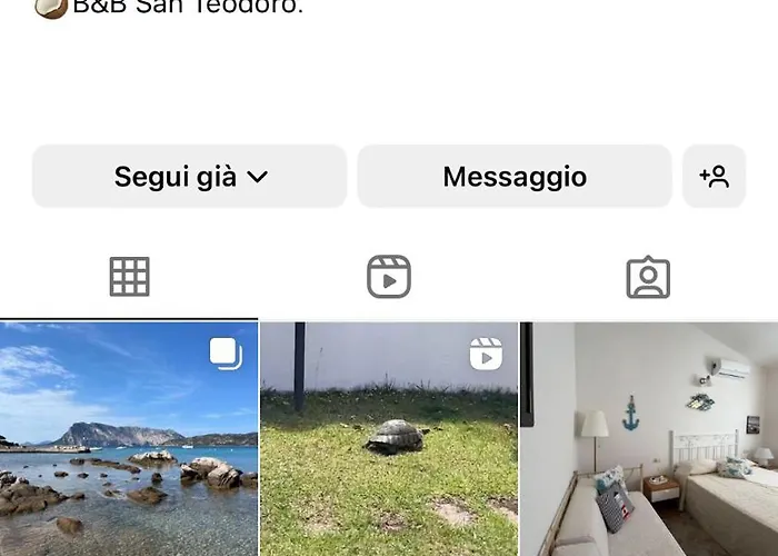 B&bcoccole San Teodoro